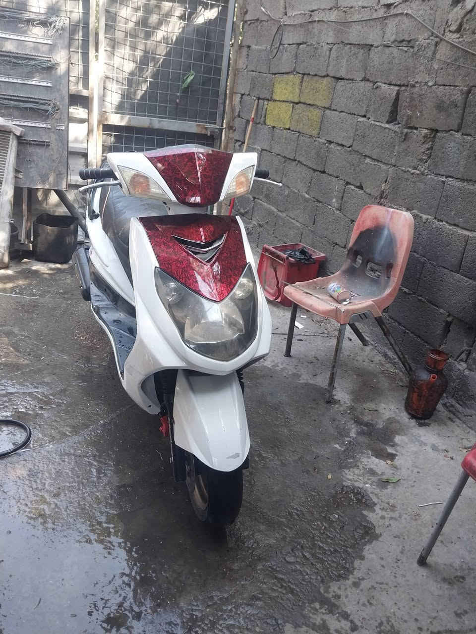 سلام عليكم اخوان للبيع سكنس فحل كابريتر دراجه كلش حلو سعر ٦٠٠ مكاني بغداد الشعله هاتف  *********** ملاحضه تايرات جلاتين
