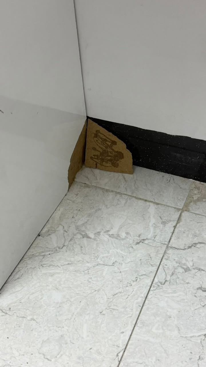 مرايه للبيع ضرر بسيط بيها


**إذا كنت صاحب هذا الإعلان وتريد حذفه لأي سبب، رجاءا أرسل رسالة إلى الدعم الفني**