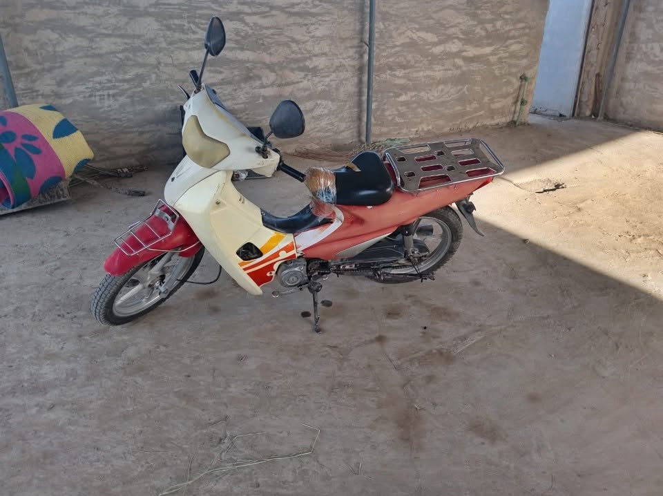 سلفيز للبيع السعر 350للستفسار اتصل
‭***********‬

