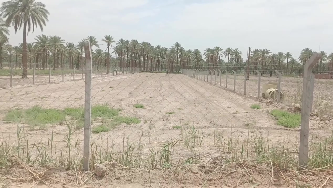 يعلن مكتب الرحمن للعقار حله شارع 100. عن وجود 
دونم واحد طابو زراعي ملك صرف 
الوجها 20 والنزال 125
مسيج بيارسي بالكامل 
خدمات موجوده 
عرض الشارع 10
يصير سكن يصير مزرعه او استثمار 
مكان كلش مرتب 
العنوان حله شارع الرابط بين شارع 100 والشارع بزل حجي علي 

السعر والتفاصيل أكثر خاص او الاتصال على الارقام او المراجعه مكتب الرحمن حله شارع 100 
#ملاحظة# لمن يرغب في
 عرض عقار او ارضه طابو صرف او طابو زراعي عليه مراسلتنا او الإتصال
***********
***********
