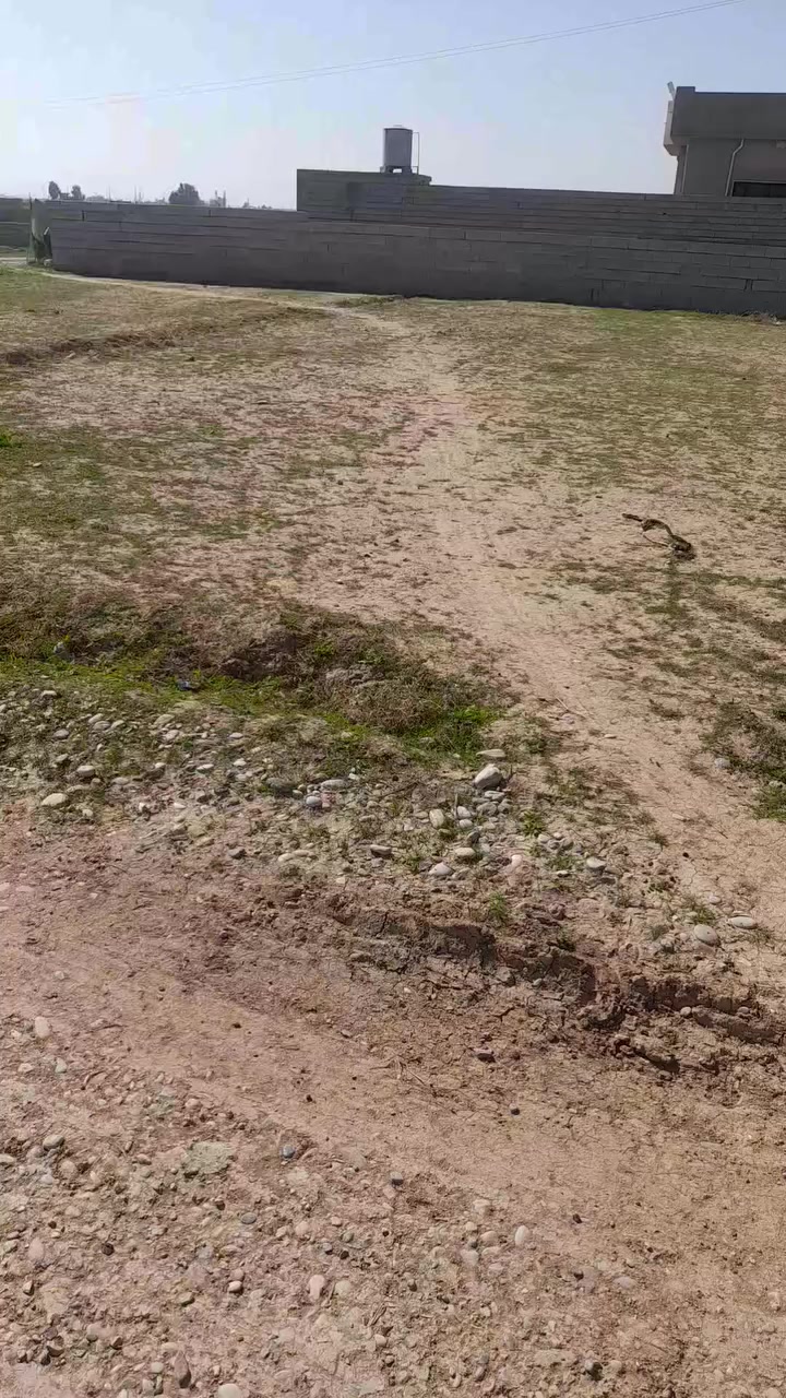 سلام عليكم قطعة أرض للبيع الموقع ورة سيطرة البكارة اول شارع عاليمين قرب فوج الحشد للإستفسار  ***********
