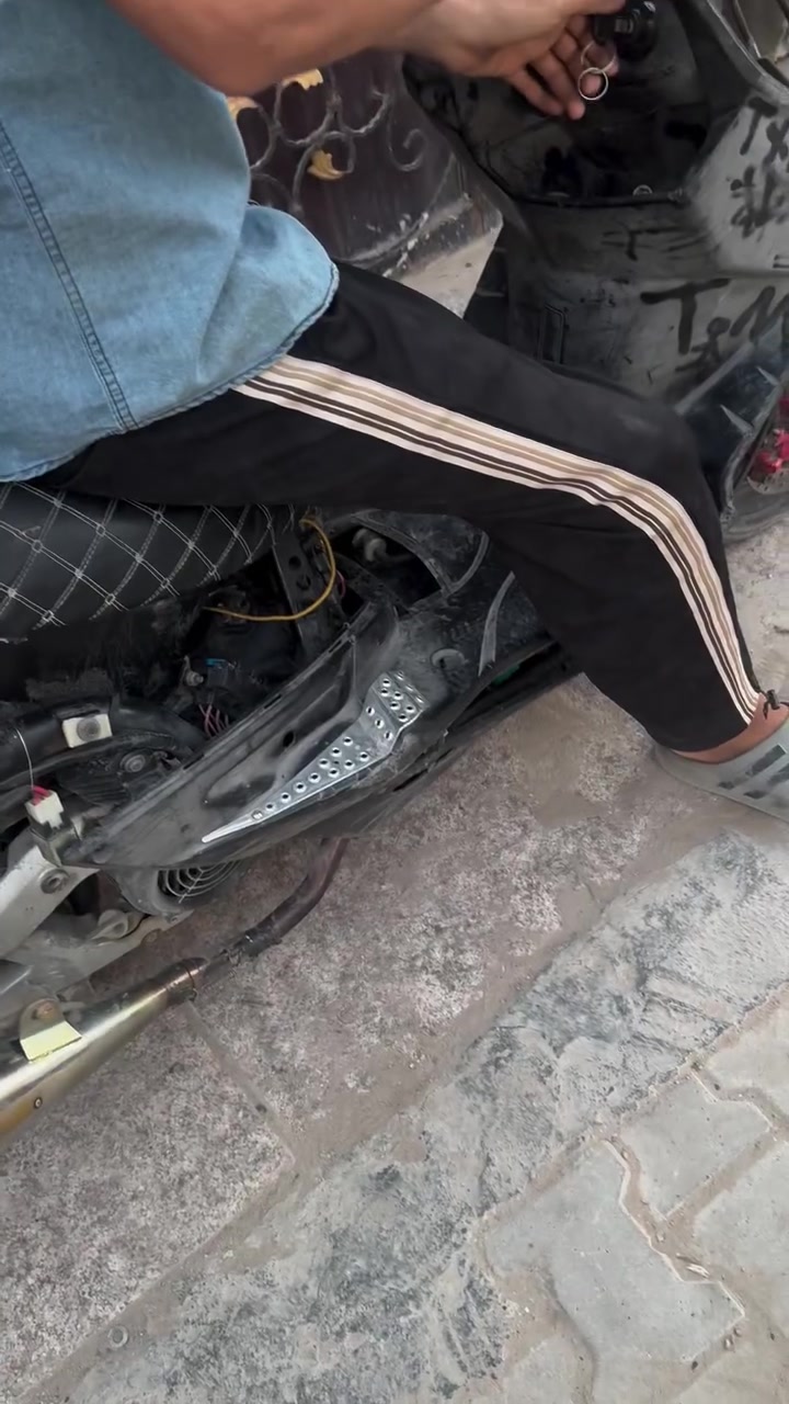 سكنس فحل للبيع مال لعب ب ٤٥٠ يرادلها ترتيب  مكينة جديدة 59 مكينتها  ***********
