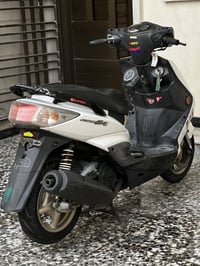 سكنس فحل للبيع طلاعات  جويتر رياضي  كور رياضي،بلادي  بوشه 58،بلادي  صا...