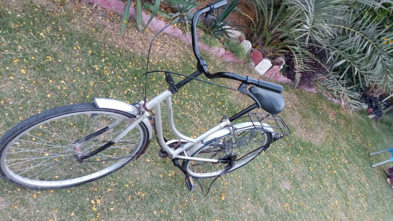 بايسكلات بناتي حجم 26 للبيع
الواحد على 75


**إذا كنت صاحب هذا الإعلان وتريد حذفه لأي سبب، رجاءا أرسل رسالة إلى الدعم الفني**