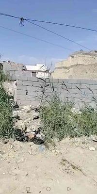 بالشطره • ٢١٠م • سند ٢٥