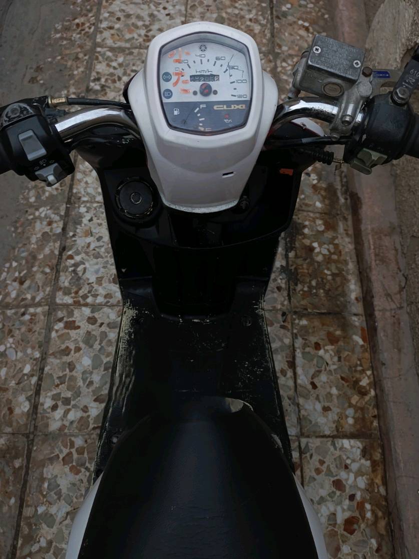 بغداد . الشعب 