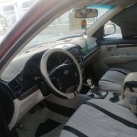 سنتافي 2009 • وارد امريكي • بيها صبغ