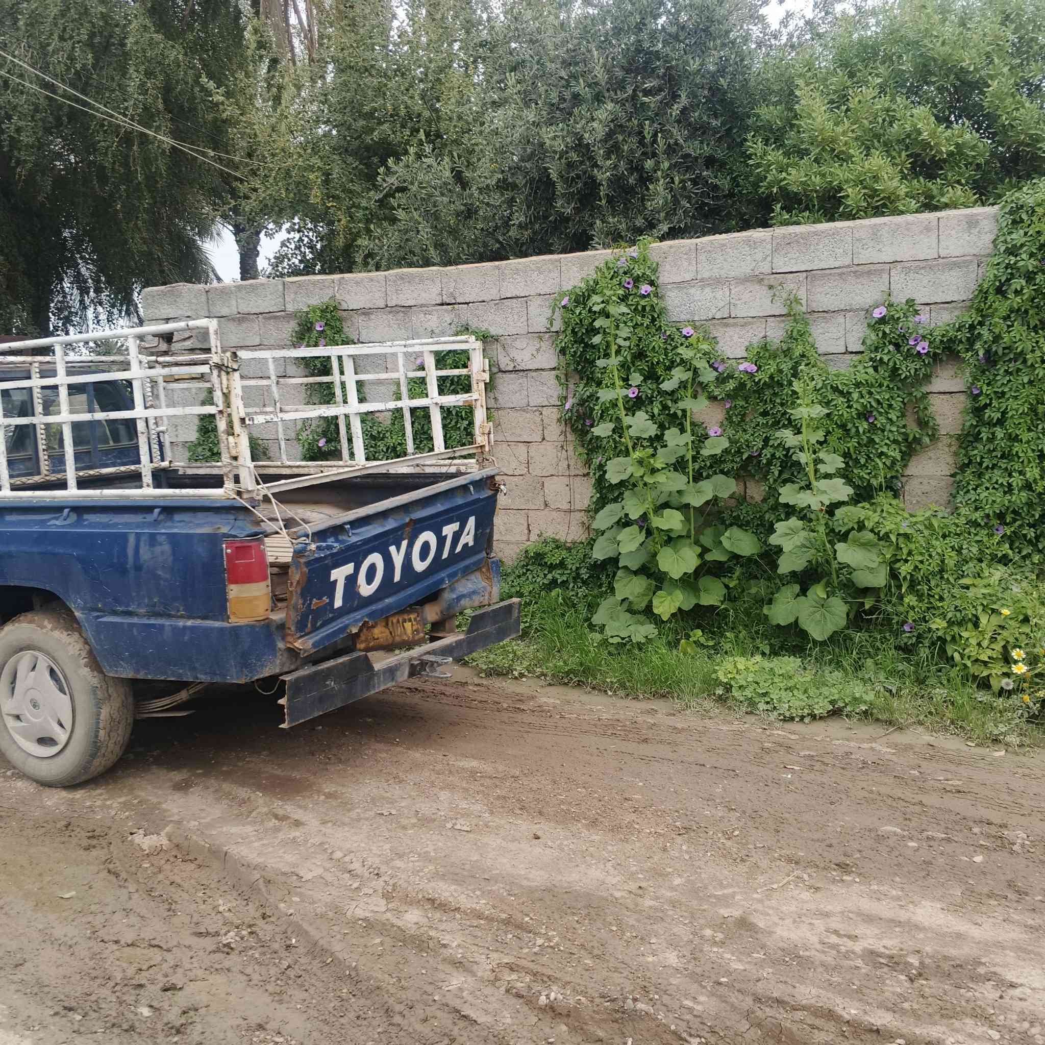 لسلام عليكم
بيكم موديل 1985 
كوم حديد راعيه ماندله 
رقم صلاح الدين شغاله وتمشي 
السعر 15 ورقه مكلف با النشر ‏‪***********‬‏
