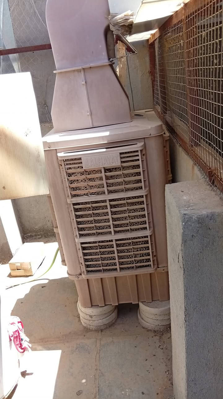 متاح حي اور ***********
