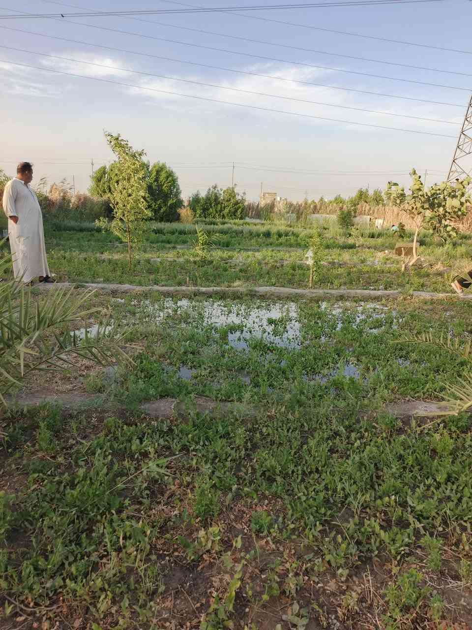 سلام عليكم  بستان للبيع مساحته لوجه 30 ونزال 50  مكانه حي جوادين نزله ثانيه نزله كيلو عن شارع  ماي اساله وكهرباء وكرمه وغطاس للستفسار اتصال على الارقام  

***********////***********
