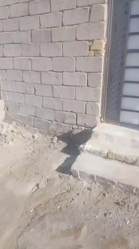 بيت زراعي للبيع /  100 متر 
السعر 42 وبي مجال للشرار
العنوان الصخين نزله مهدي الوكيل
 بعد ما تعبر جسر الحولي
على الجهه اليسره
  مسافه عن شارع السايداين 

يتكون البيت من
غرفه مطبخ صاله
منور صحيات التواصل خاص


**إذا كنت صاحب هذا الإعلان وتريد حذفه لأي سبب، رجاءا أرسل رسالة إلى الدعم الفني**