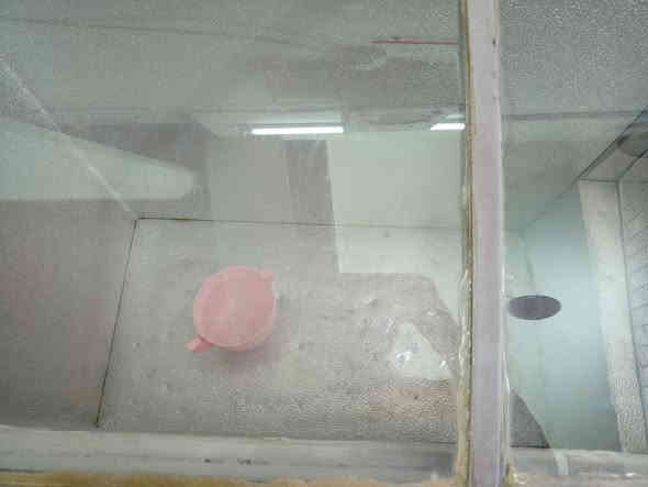 سلام عليكم للبيع شرط الشغل سعره 150 عنوان كركوك حي الحجاج ***********
