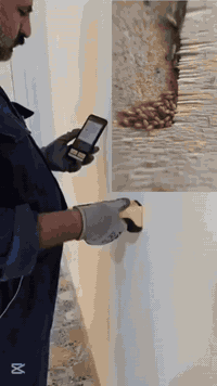 #مكافحةالارضة #اتصل_الان ***********
بيت - دائرة - مجمعات سكنية - مدرسة
مع شركة القلعه الزراعية لكشف ومعالجة حشرة الارضة بجهاز السونار
وكادر هندسي متخصص

💥 ضمان 5 سنوات
‏‎ ✅ كوادرنا تعمل على مدار 24 ساعة ⏰

📌 سارع الان باتخاذ القرار الصحيح وتخلص من حشرة الأرضة

🏢 فروعنا متوفرة بكل بغداد وتكدرون تزورونا 

 ☎️ الاستفسار اكثر او الاتصال على ***********
او مراسلة صفحتنا على الواتساب     ***********
