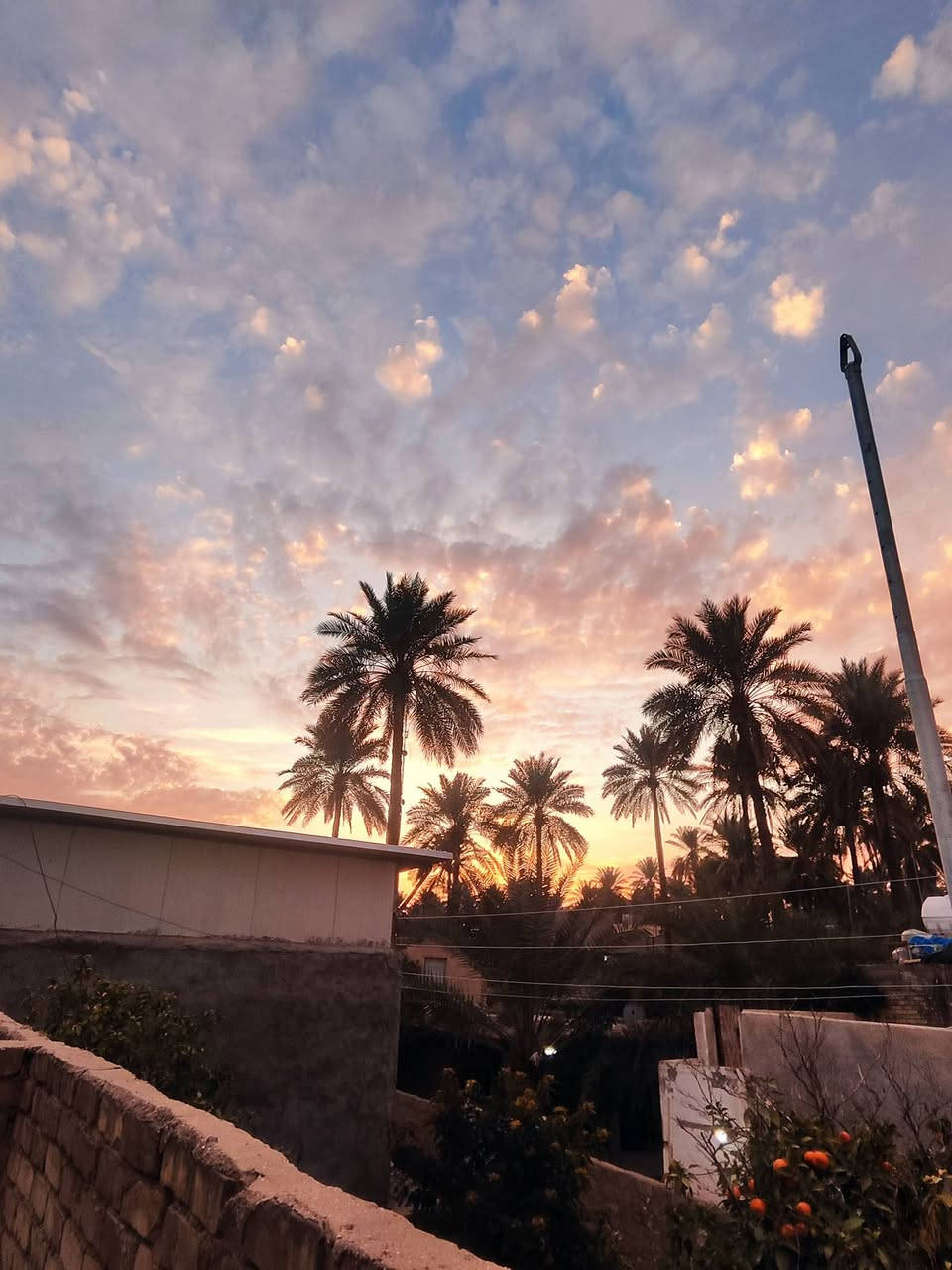 Xiaomi 12T Pro
من نوع فلاكشب
ذاكرته 256/8
كامرته 200 بكسل
مراوس أو بيع سعر 
275وبي مجال قليل
رقم ***********
مكاني بغداد قرب مرورتاجيات
