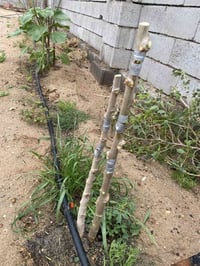 تركيب سدر • سدر كبار وصغار • انواع النبگ