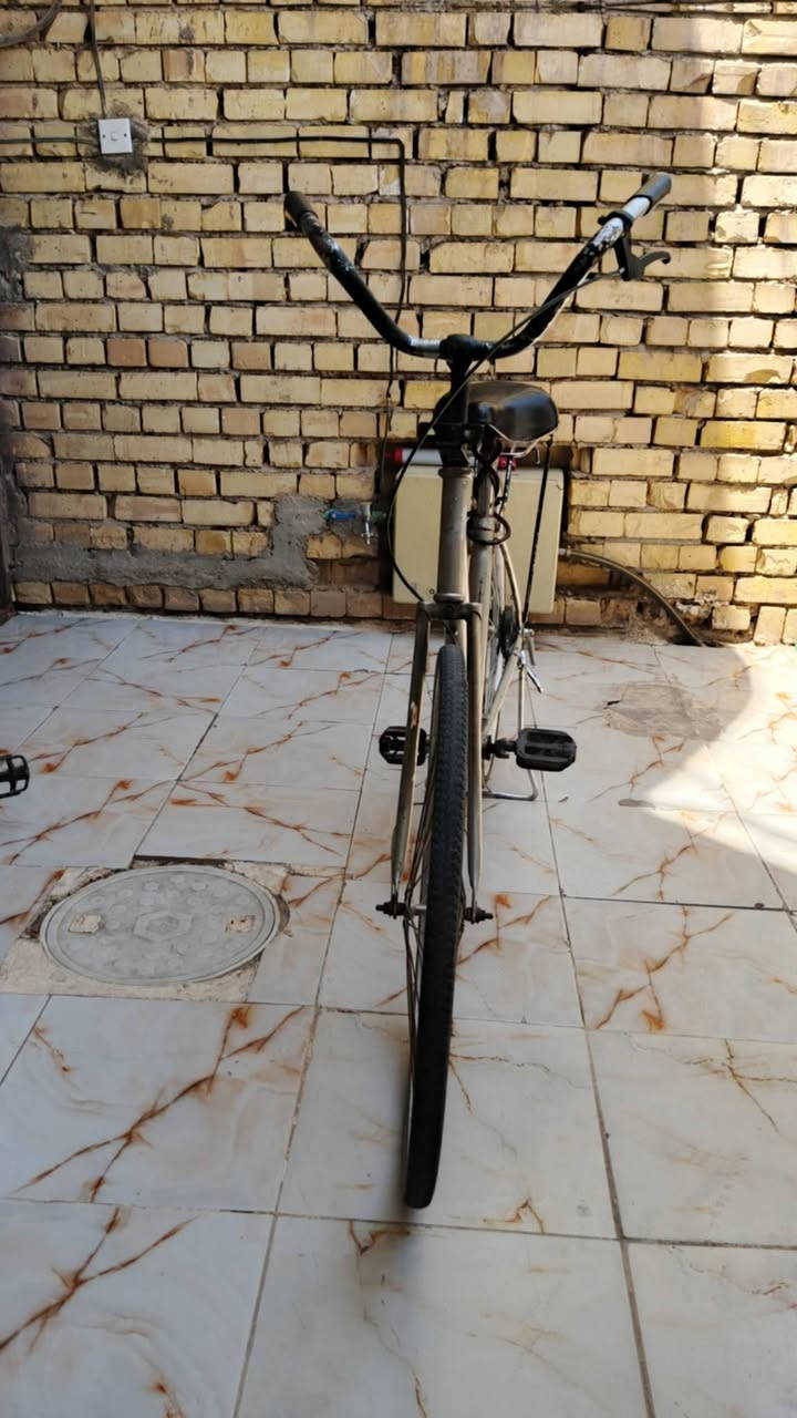 بايسكل بناتي حجم ٢٦
السعر ٤٠ بي مجال الكروه
العنوان بغداد الحسينيه


**إذا كنت صاحب هذا الإعلان وتريد حذفه لأي سبب، رجاءا أرسل رسالة إلى الدعم الفني**