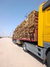سكيب • ٦٠٠ سكيبه • البصرة