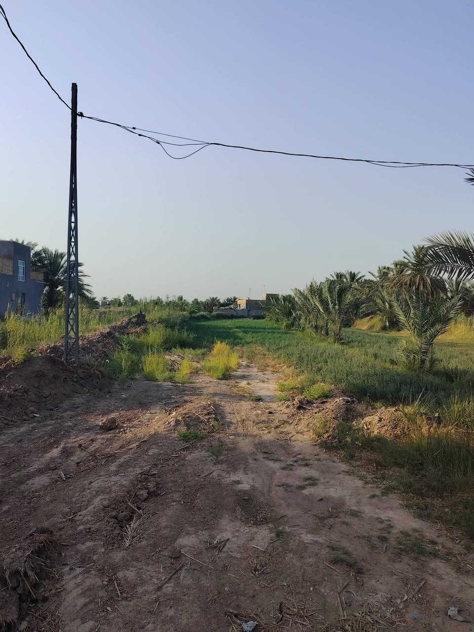 سلام عليكم يوجد دونم البيع توجد فيها كل خدمات ماء كهرباء وتبليط عنوان طريق حله بغداد 
منطقه فنديه اتصل ***********
