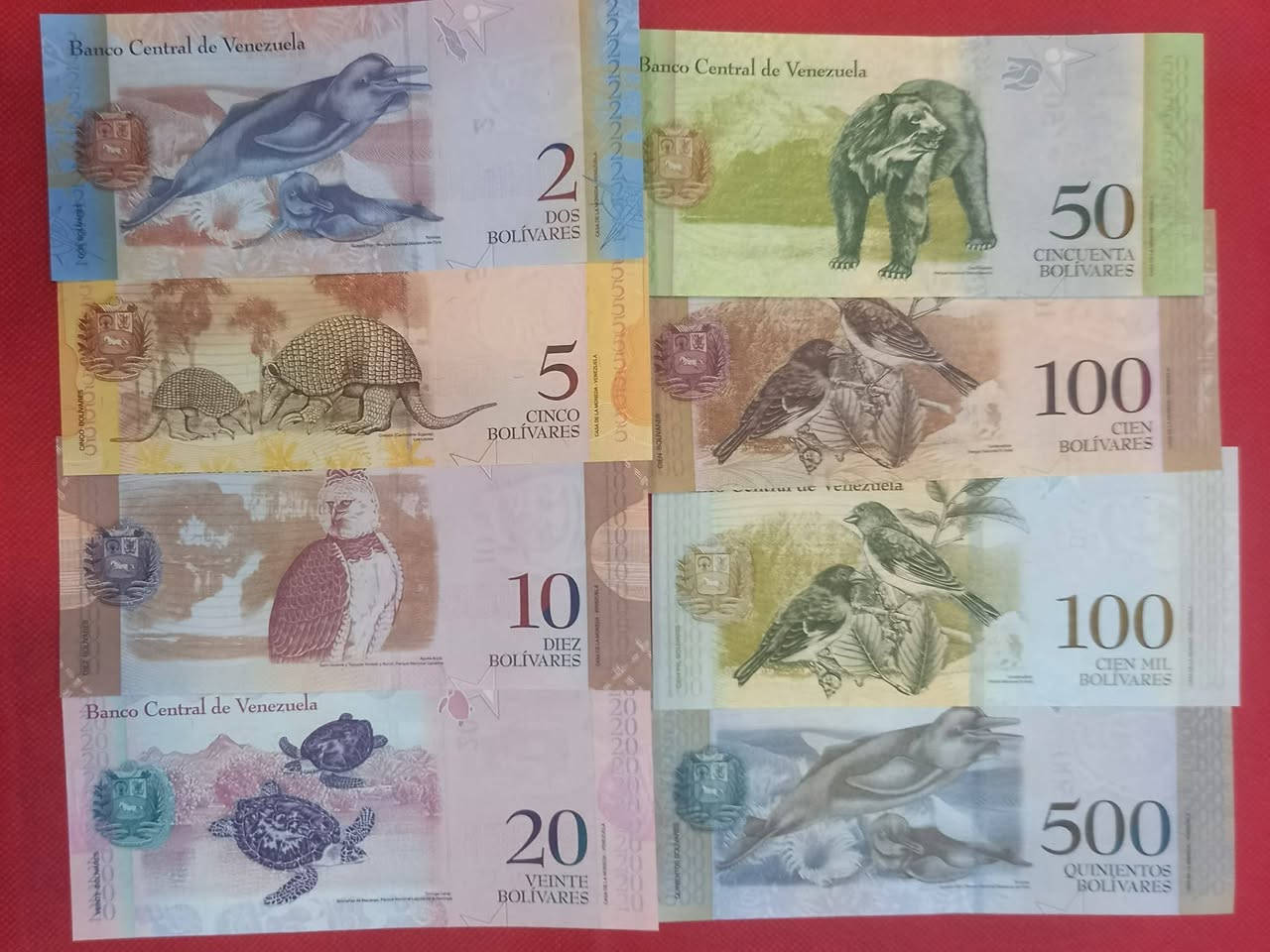 سيت فنزويلا 
اخير سيت من هذا الإصدار
السعر 6 الف
انسسسسسر


**إذا كنت صاحب هذا الإعلان وتريد حذفه لأي سبب، رجاءا أرسل رسالة إلى الدعم الفني**