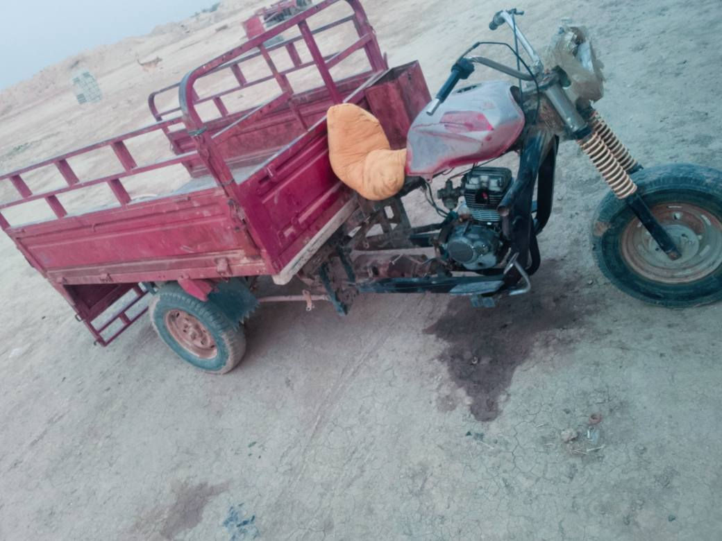 ستوته شغاله للبيع اوراق اصولي 2016شراي يتصل ***********
