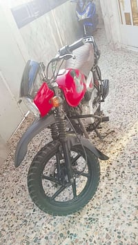 بوكسر جبلي • موديل 24 • مرقمة