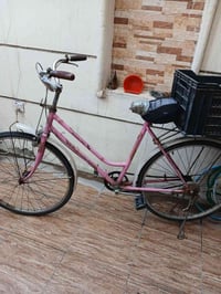 باسكال • نضيف • العامرية