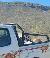 شاحنة • نظيف • السليمانية