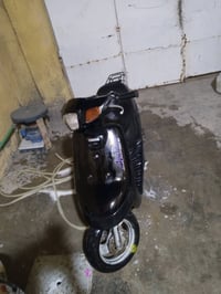 بطة • نضيفه • سلف