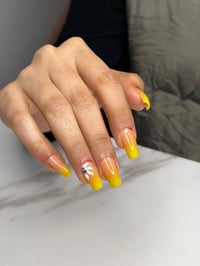 الغزالية • قاعة عبلة • جوز ولوز