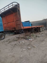 بلوم • ١٢٫٥م • المانيه
