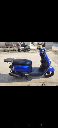 بوليس نوزل • نضيفه • تحرير