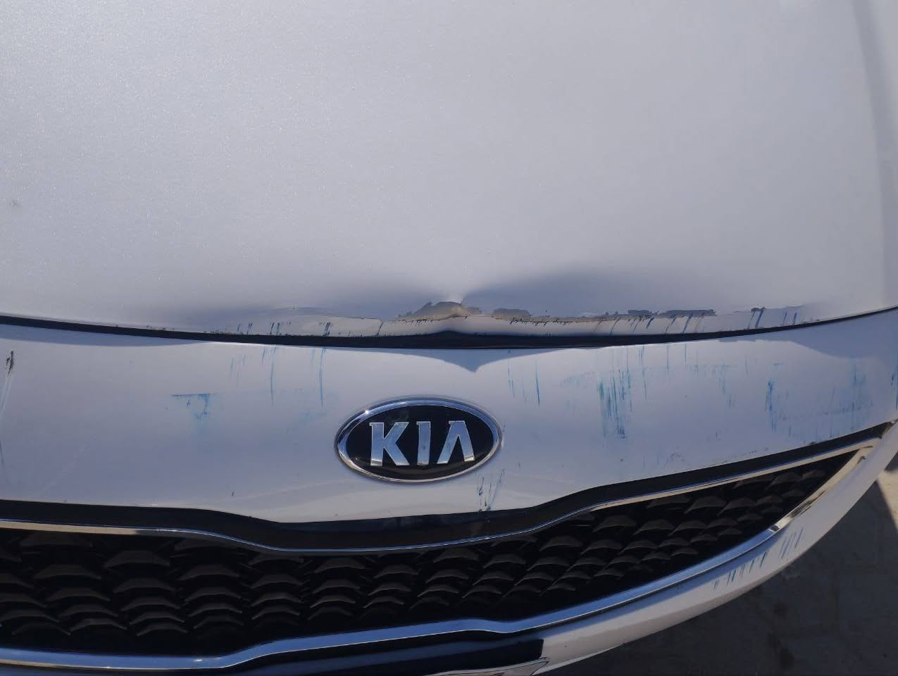 سيراتو 18
حادثها موظح وسونار موجود
ماشيه 160
نص فول مكينه وكير شرط
رقم بغداد 
سعرها. 138 بيها مجال بسيط
جوه ال36 لا تخابرني ولا تعبك ولا تعبني
***********
