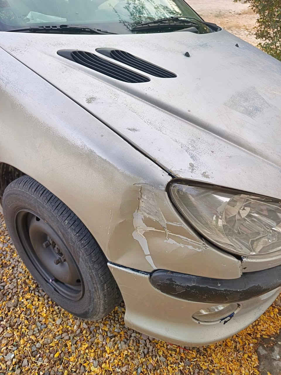 السلام عليكم... بيجو ٢٠٦ موديل ٢٠٠٩ ... نظيفة نوعاً ما وماشية ١٨٢ ألف.... السيارة المحرك ما شاء الله تحفة.. والگير أوتوماتيك ويحتاج إلى تبديل جوزات لزيادة الكفاءة... الرقم بغداد جديد وسنوية لل٢٩ يله تنتهي... التايرات والبطارية بحالة جيدة.. الصدر الخلفي جيد جداً.. الصدر الأمامي جيد بعض الشيء... التبريد نقص فقط غاز.. السيارة مصبوغة حزام وهم جاردة بسبب اللون والحرارة وجو العراق... وهاي أهم التفاصيل.. السعر المطلوب ٤٨ وبيها مجال بسيط.. للتواصل على الخاص ومن الله التوفيق


**إذا كنت صاحب هذا الإعلان وتريد حذفه لأي سبب، رجاءا أرسل رسالة إلى الدعم الفني**