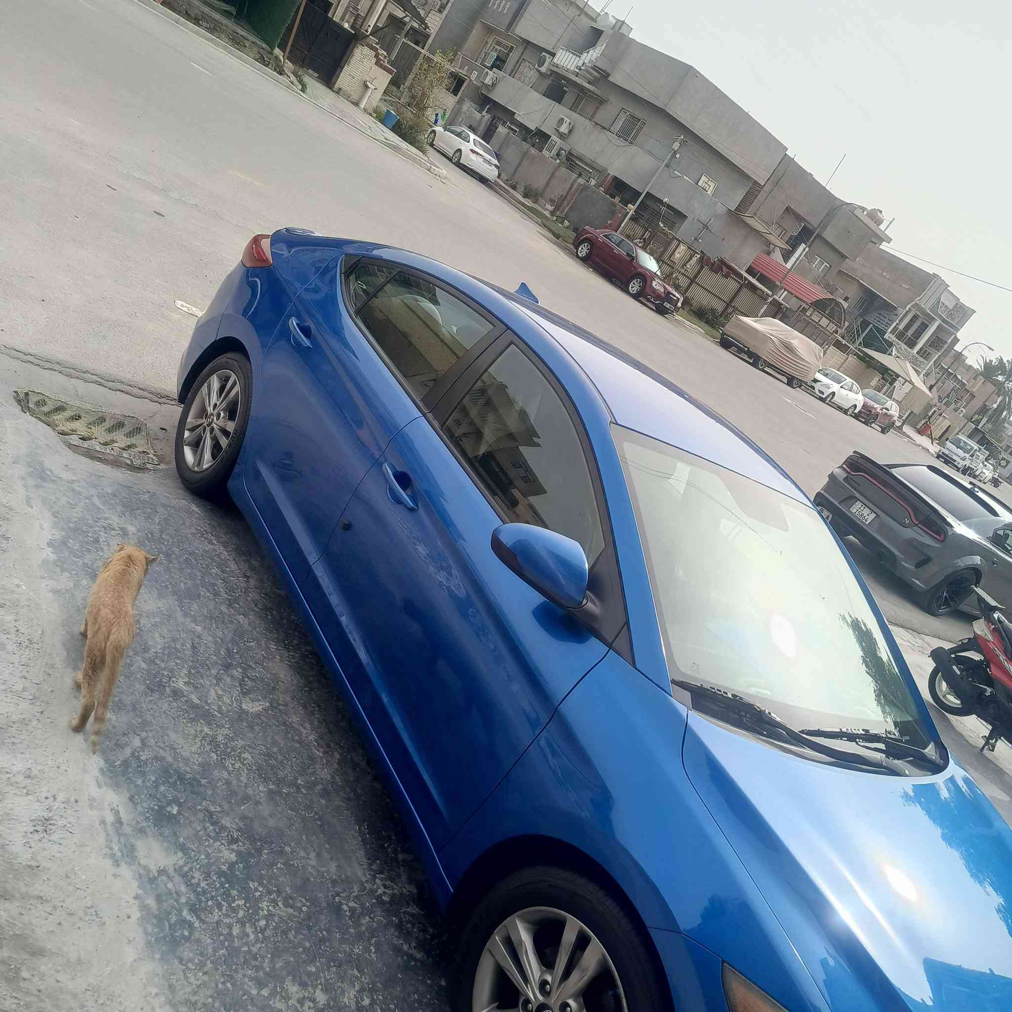 النترا موديل ٢٠١٨ وارد امريكي + رادار جانبي
 الحادث بالصندوق ما واصل للحوض و مبدل الصندوق من نفس اللون بدون ايرباك مكفولة من الصبغ 
*********** مكان بغداد حي القاهره
