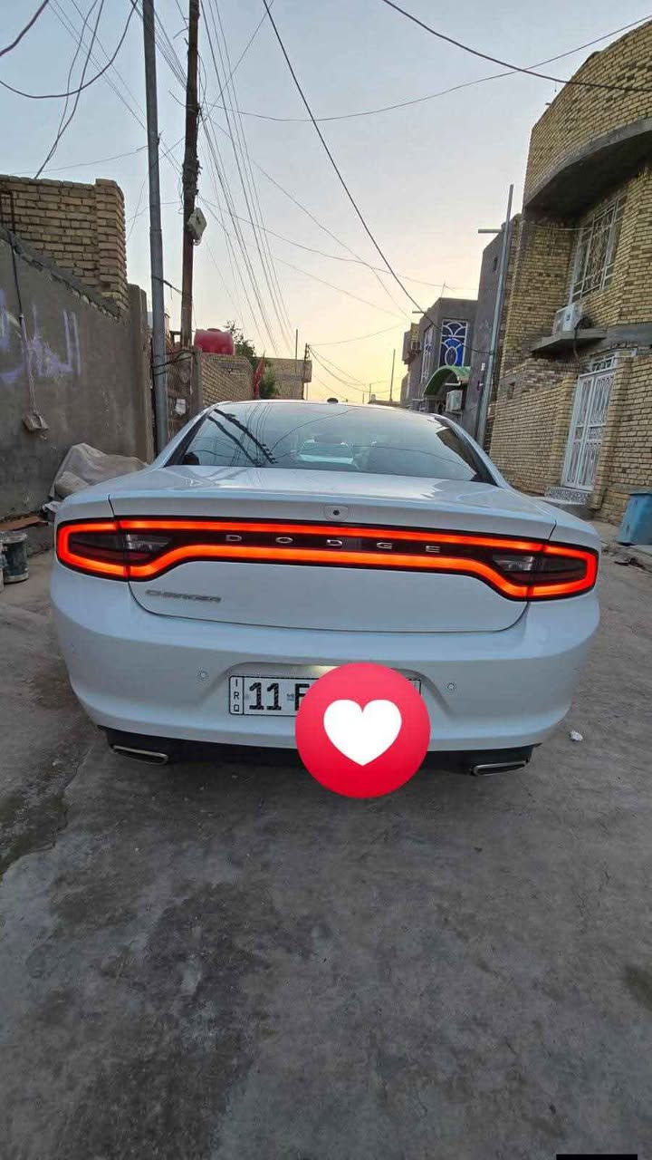 شارجر موديل2019 اصل دخول جديد ضباط لون أبيض
تقرير تعمل وتسير  باسمي والسونار مرفوق وي الصور 
 فول مواصفات
 فتحه
بصمه تشغيل عن بعد
بصمه ابواب 
كشن جلد كهربائي
‏تدفئه وتبريد المقاعد
كشن حضن
كامره خلفيه
كشن سايق ول راكب فول تحكم كهربائي
ماشيه 97 
حداديه جديده تخم تاير جديد
تبريد ثلج من كلشي جاهزه مال بيت السياره 
رقم بغداد نكليزي هزه جديده 
انتها السنويه بل 2031
ثاني يوم تحويل
بعد بيها مواصفات مامذكوره
سياره جديده جاهزه ماناقصهه برغي حت اسبيرهه منازل والا قطعه مبدل بلسياره  
مكان الناصرية مركز المحافظة 
رقم الهاتف/*********** ناصرية, ذي قار
