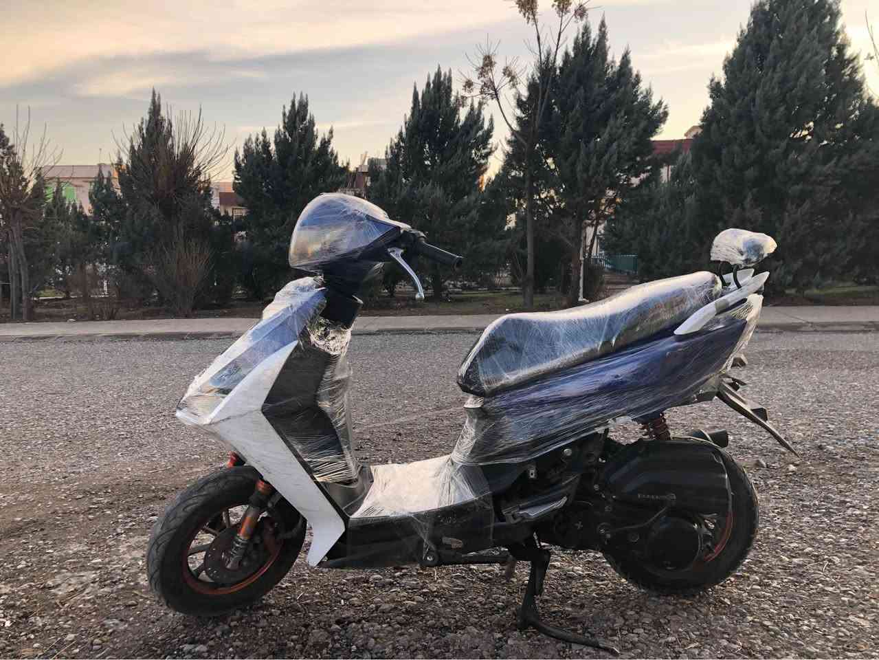 ‎ماکس شتێکی جوان و پاک و بێ عەیب نرخ ٣٠٠ و مەجالێکی برایانە 

سلێمانی 
***********
***********‎ السليمانية, العراق
