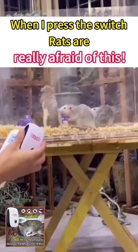 جهاز طارد الحشرات
افضل اختراع لطرد الحشرات
طارد الفئران والحشرات بالموجات فوق صوتية🐁🐀🦎🦟🕷

جهاز طارد الفئران والصراصير وكل انواع الحشرات الطائره والزاحفه 
الحل الوحيد والامن في العالم و البديل الصحيح المبيدات السامة والكيميائية
الامن والافضل لبيتك او مصنعك او مكتبك حيث يقوم الجهاز بارسال موجات 
فوق الصوتيه عالية التاثير &  تاثر مباشرتاً على العصب السمعي للحشرات
يعمل بقوة على ازعاج الفئران والصراصير ويطردهم خارج المكان المتواجد
فيه الجهاز وعلى مسافه محيطيه 150 متر مربع 🕷🦂🦟🦎🐀🐁
الجهاز امن على الانسان والحيوانات الاليفه مثل القطط والكلاب و الطيور 
وغيرها 🐈🐓🐕 🐦الجهاز مكافح كل الانواع
- الصراصير- الفئران باحجامها  - النمل - البق - الوشواشة
- العناكب الجهاز صناعه صينيه صنف اول مصدر خصيصا الى امريكا
موافق عليه من الهيئه الفدراليه الامريكيه ومعتمد في الاتحاد
الاوروبي جهاز معتمد عالمياا الحل الافضل ونهائيا

السعر العرض بدل 25 صال ب 18 الاف والتوصيل مجاني لفترة محدودة للحجز والاستفسار مراسلة الصفحة وشرط الفحص بوجود المندوب أي اختلاف بي يترجع وتدللون 
🚘 يوجد خدمة توصيل لجميع محافظات العراق   🚘


**إذا كنت صاحب هذا الإعلان وتريد حذفه لأي سبب، رجاءا أرسل رسالة إلى الدعم الفني**