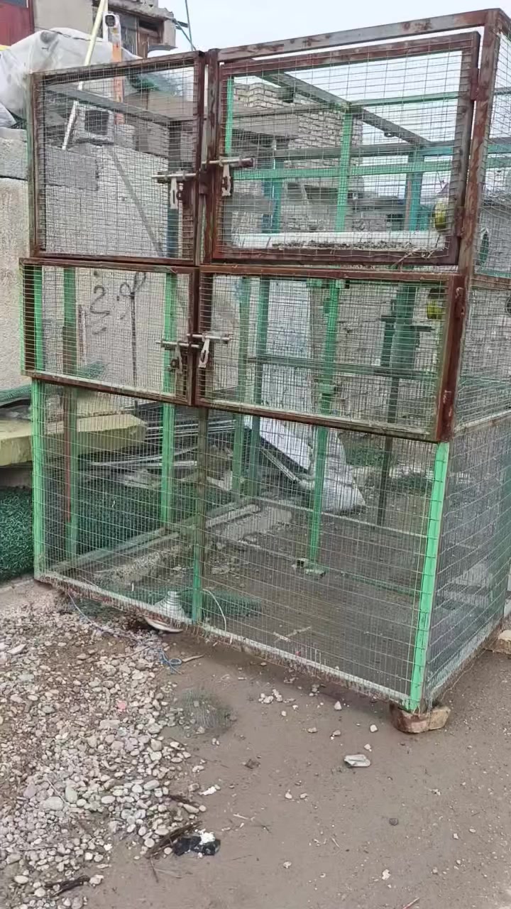 قفص تفصال حديد مكان جسر ديالي
سعر خاص
***********
