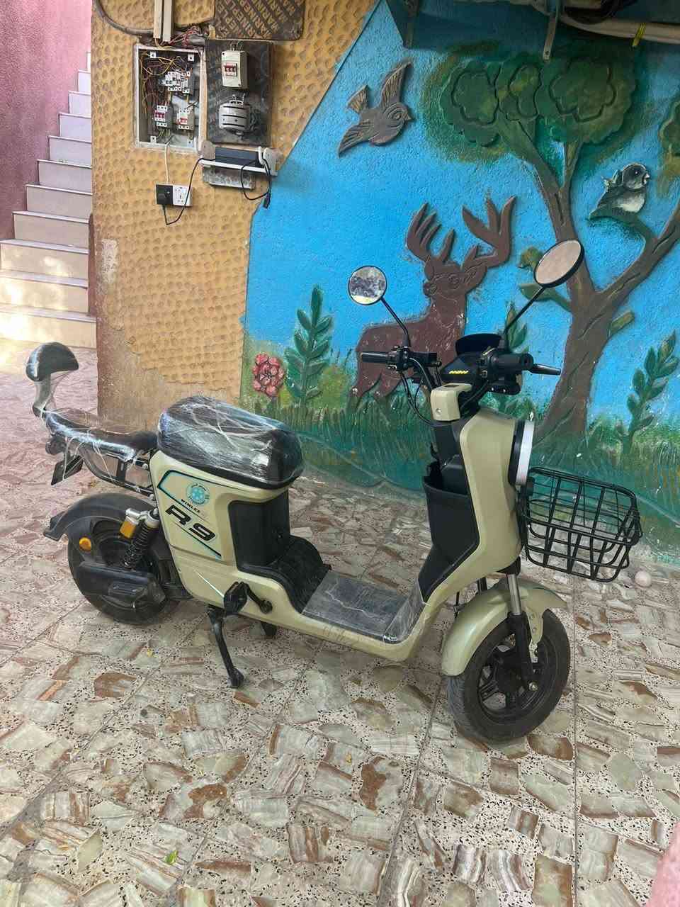 دراجه R9 مديل 2026 دراجه نضيفه ما متعوبه من شغل للبيت خمس بطاريات 2026 
 32 ونلي  سعر450 وبيها مجال مكاني البصره الحيانيه
*********** واتساب فقط
