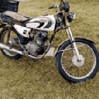 شغاله • اوراق موجودة • نقص تاير