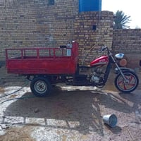 ستوته متيار • بدون أوراق • العماره البتيره