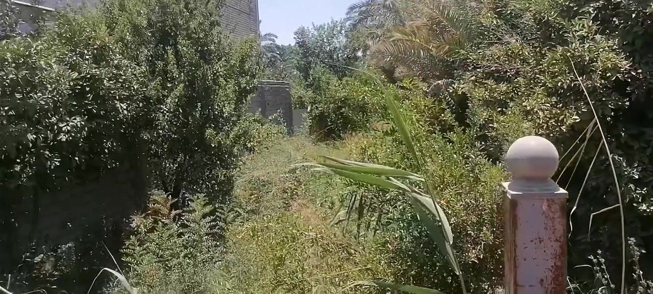 ارظ للبيع طابو مساحه ٣٦٨متر العنوان بغداد الطي قرب جسر الدوار الاستفسار على ***********

