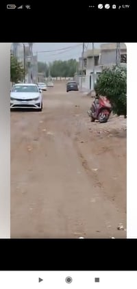 قطعة طابو • الجزائر الفرع • ١٢٥م