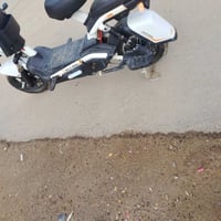 دراجة شحن • موديل 2024 • شطرة