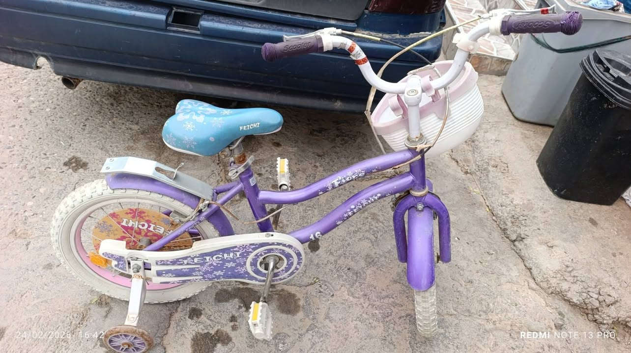 ئەمانە بۆفرۆشتن💰
سـیستەمێکی یەک نەفەری دەسکردی ئەسڵی لەگەڵ دۆشەکێکی توبی.
..................
فـڕنێکی کـارەبایی نیواڵی تورکی زۆر تازەو بێعەیب دوو سینی لەگەڵ دایە.
........................
پــاسـکیلێکی مـناڵان حـەجمی 14 زۆر پاک و جوان و بێعەیب 
▫️▫️▫️▫️▫️▫️▫️
ژ.پ.ڤایبەر☎️📥***********
هەموو ئەشیایەکی ناوماڵەو جیاواز لەناوماڵەش ئەسێنین بەگونجاوترین نرخ
