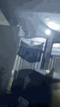 السلام عليكم
دراجه ايراني 5كير للبيع
الدراجه اگبال عينك خير من الله 
الدراجه نكره بيه منضومه زنون 
السعر 500 وبيه مجال المكان بغداد حي اور 
الرقم***********
