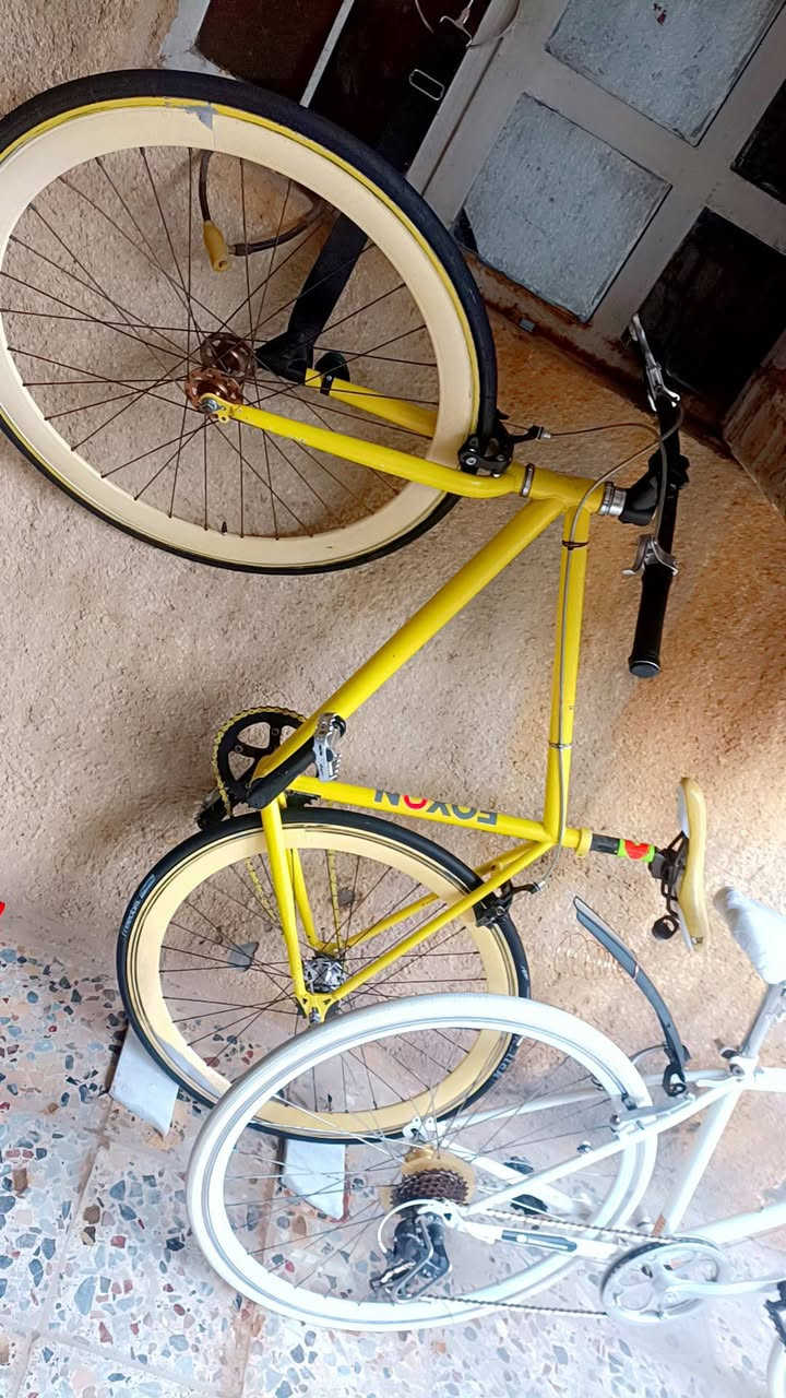 اب30 اريد افلش السوك لسلام عليكم شباب بايسكل سويت بي حادث بايسكل يخبل يلرادله تعديل مايكلف هواي بس اني مالي خلك غراضه كلهه بجيس واصليات وكله شغال ب30الف قفل هيج والله 
البايسكل فكسد شركه فوكسون الكوريه نزلته بيدي من الحاويه مكينتين وللتنبي التاير الامامي مابي شي بس الخلفي يرادله تعديل مايكلف 20الف بس اني مالي خلك 
البايسكل اني حالين مفصخه ردت اصلحه وعفته والله شاهد عليه مامودي المصلح


**إذا كنت صاحب هذا الإعلان وتريد حذفه لأي سبب، رجاءا أرسل رسالة إلى الدعم الفني**