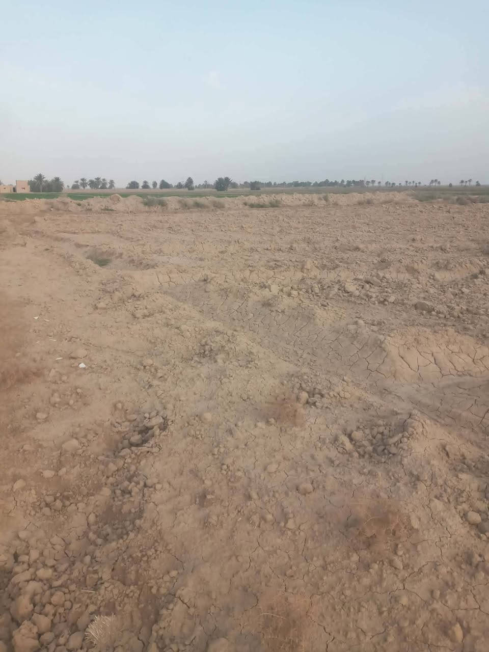 سلام عليكم
أرض زراعيه للبيع المساحه ١٤دونم   في ناحيه فدك المزاك    
ذنايب  في قريه الانتصار للستفسار أتصال على هذا الرقم***********
