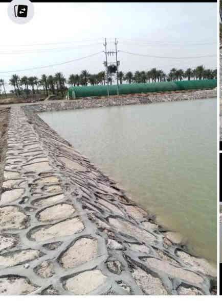 السلام عليكم يوجد كادر بناء الحجر تطبيك ارضيات 
عمل مسنايات الانهار حجر تغليف البحيرات وسواقي الماء الاستفسار والتفاصيل اتصال او تفضل على الخاص 
***********
