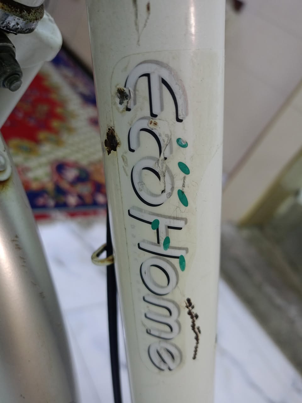 السلام عليكم بايسكل البيع حجم 26 بايسكل جديد السعر 100 وبي مجال


**إذا كنت صاحب هذا الإعلان وتريد حذفه لأي سبب، رجاءا أرسل رسالة إلى الدعم الفني**